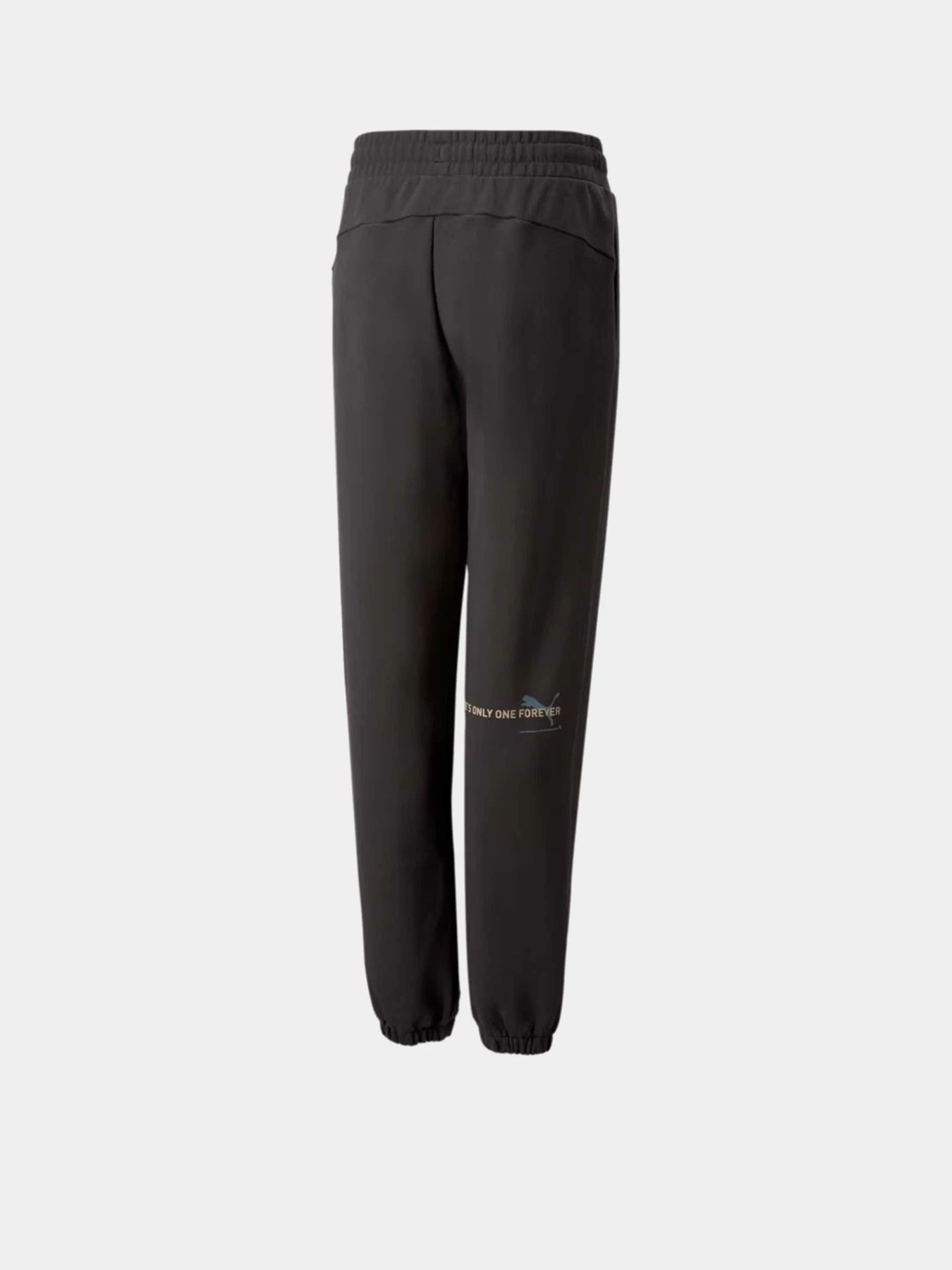 Штани PUMA ESSENTIALS BETTER модель 67365775 Штани PUMA ESSENTIALS BETTER модель 67365775 Фото