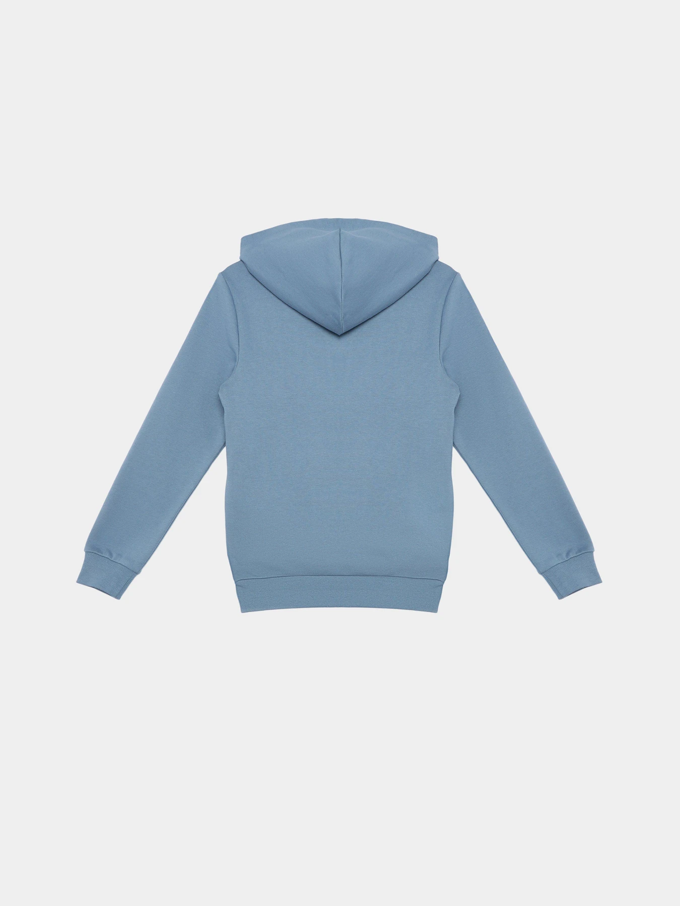 Худи и свитшоты PUMA ESSENTIALS BETTER ADOLESCENT модель 67365917 Худи и свитшоты PUMA ESSENTIALS BETTER ADOLESCENT модель 67365917 Фото