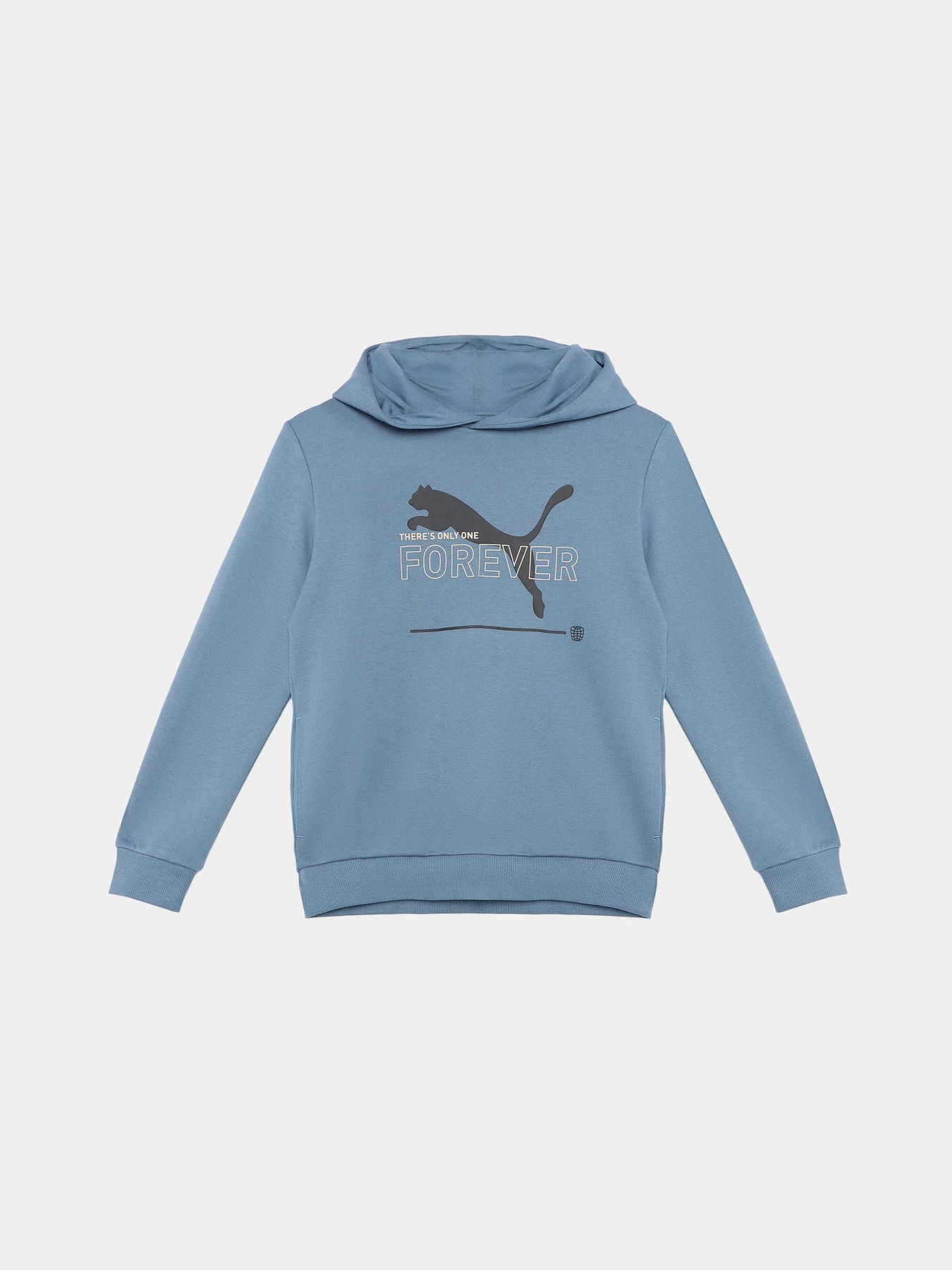 Худи и свитшоты PUMA ESSENTIALS BETTER ADOLESCENT модель 67365917 Худи и свитшоты PUMA ESSENTIALS BETTER ADOLESCENT модель 67365917 Фото
