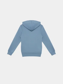 Худи и свитшоты PUMA ESSENTIALS BETTER ADOLESCENT модель 67365917 Фото