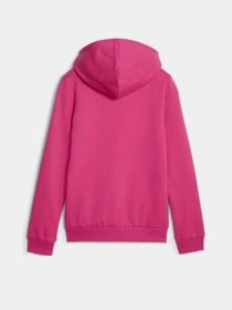 Худи и свитшоты PUMA FULL-ZIP HOODIE модель 67449496 Фото