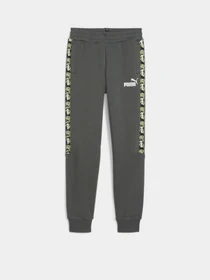 Штани PUMA ESSENTIALS TAPE модель 67922180 Фото