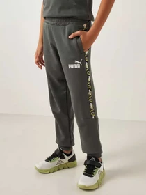 Штани PUMA ESSENTIALS TAPE модель 67922180 Фото