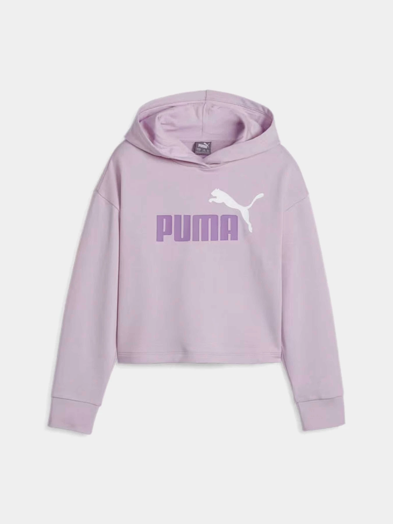 Худи и свитшоты PUMA ESS+ 2COL модель 68099360 Худи и свитшоты PUMA ESS+ 2COL модель 68099360 Фото