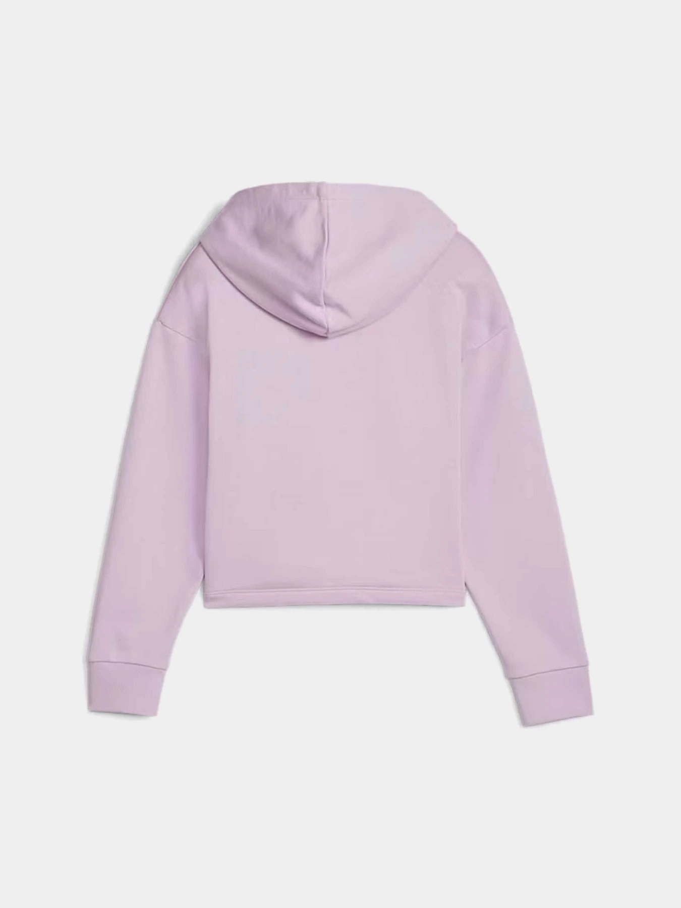 Худи и свитшоты PUMA ESS+ 2COL модель 68099360 Худи и свитшоты PUMA ESS+ 2COL модель 68099360 Фото