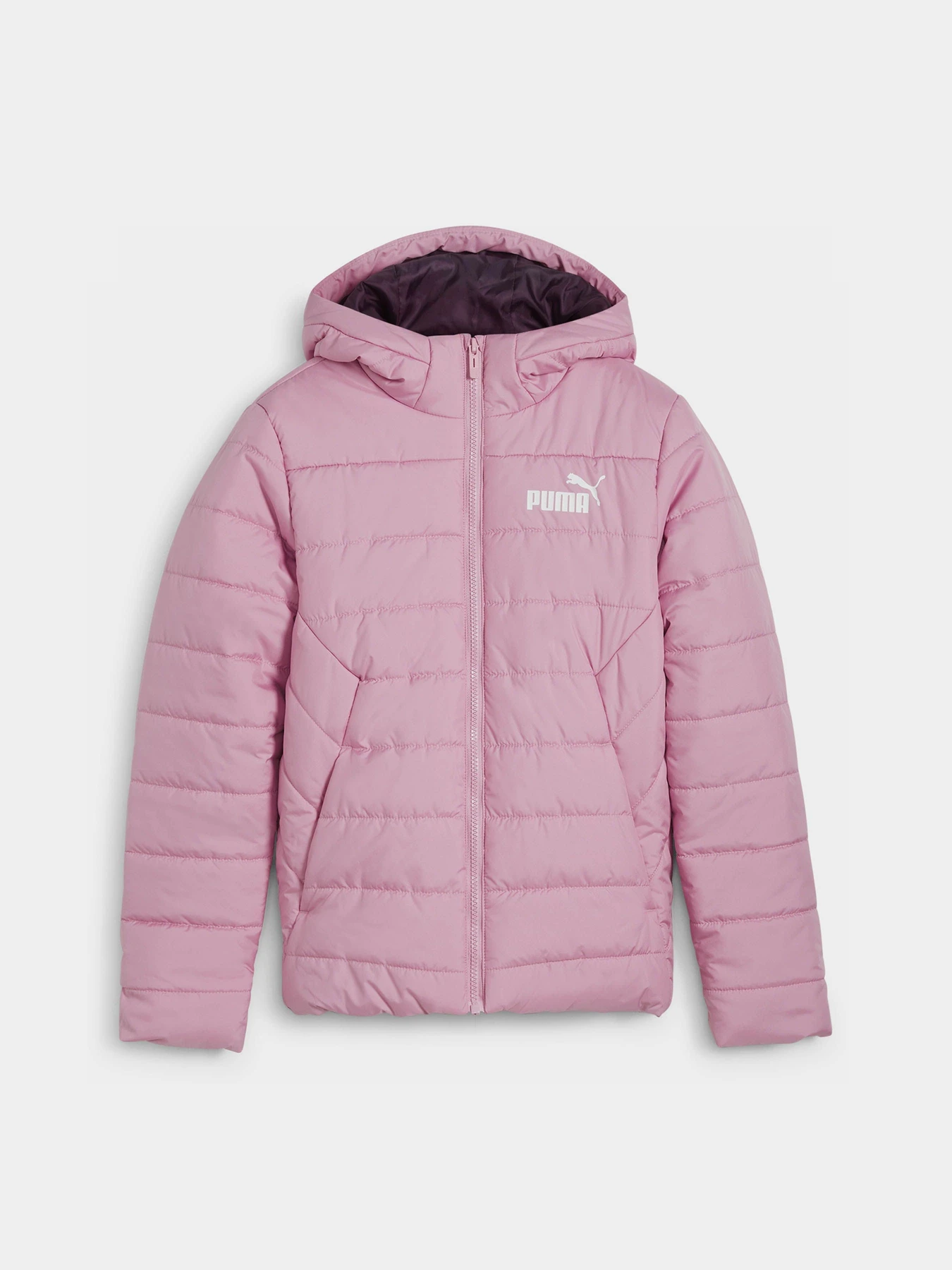 Куртки та дублянки PUMA ESSENTIALS PADDED модель 67055948 Фото