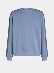 Худи и свитшоты Calvin Klein Jeans модель J30J327230-CKG Фото