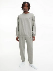 Худи и свитшоты Calvin Klein Underwear Modern Cotton модель 000NM2300E-P7A Фото