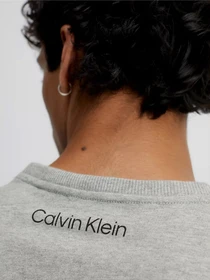 Худи и свитшоты Calvin Klein Underwear Ck96 модель 000NM2415E-P7A Фото