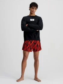 Худи и свитшоты Calvin Klein Underwear Ck96 модель 000NM2415E-UB1 Фото