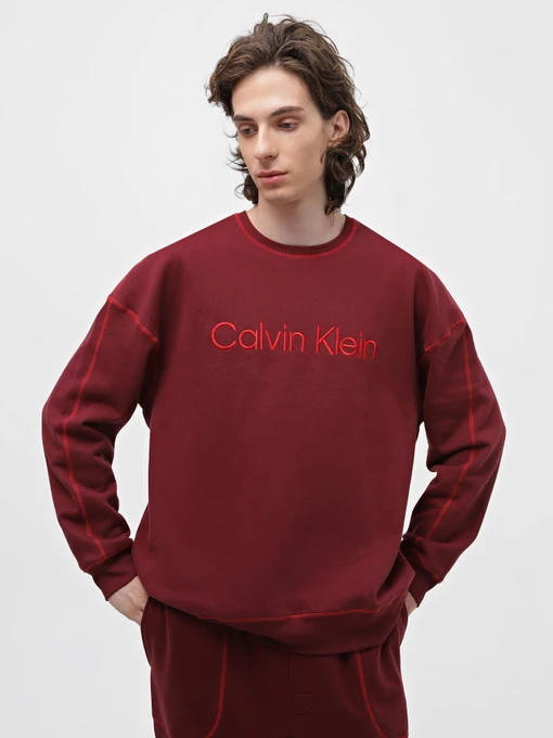 Худі та світшоти Calvin Klein Underwear Ls Sweatshirt модель 000NM2458E-GEX Фото