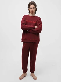 Худи и свитшоты Calvin Klein Underwear Ls Sweatshirt модель 000NM2458E-GEX Фото