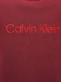 Худи и свитшоты Calvin Klein Underwear Ls Sweatshirt модель 000NM2458E-GEX Фото