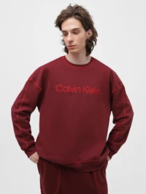 Худі та світшоти Calvin Klein Underwear Ls Sweatshirt модель 000NM2458E-GEX Фото