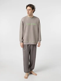 Худи и свитшоты Calvin Klein Underwear Ls Sweatshirt модель 000NM2458E-PET Фото