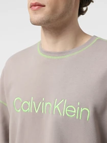 Худи и свитшоты Calvin Klein Underwear Ls Sweatshirt модель 000NM2458E-PET Фото