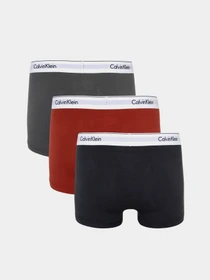 Нижнее белье Calvin Klein Underwear Trunk 3Pk модель 000NB2380A-GWF Фото