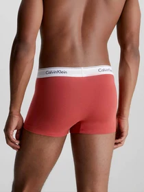 Нижнее белье Calvin Klein Underwear Trunk 3Pk модель 000NB2380A-GWF Фото