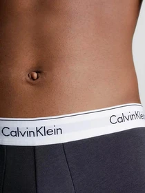 Нижнее белье Calvin Klein Underwear Trunk 3Pk модель 000NB2380A-GWF Фото
