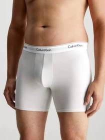 Нижнее белье Calvin Klein Underwear 3 Pack Boxer Briefs - Modern Cotton модель 000NB2381A-GW4 Фото