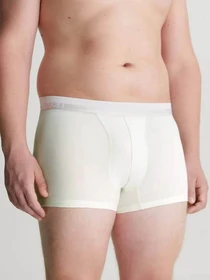 Нижнее белье Calvin Klein Underwear 3-pack модель 000NB2970A-GYO Фото