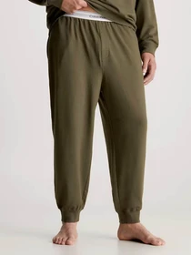 Брюки Calvin Klein Underwear Jogger модель 000NM2302E-FQ3 Фото