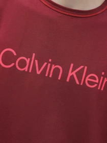 Футболки и поло Calvin Klein Underwear Short Sleeve T-Shirt модель 000NM2456E-GEX Фото