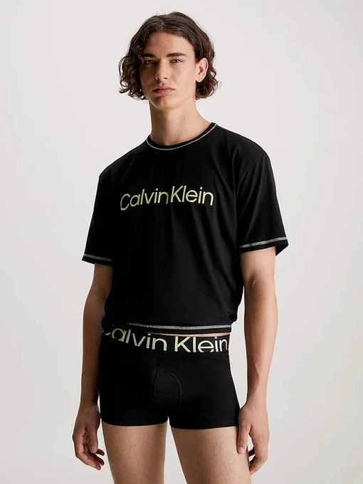 Футболки і поло Calvin Klein Underwear Motion Logo Modern Comfort Short Sleeve модель 000NM2456E-UB1 Фото
