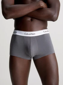 Нижнее белье Calvin Klein Underwear Modern Ctn Stretch модель 000NB1085A-M9I Фото