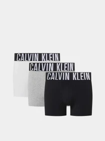 Нижня білизна Calvin Klein Underwear Intense Power Ctn 3P модель 000NB3608A-MPI Фото