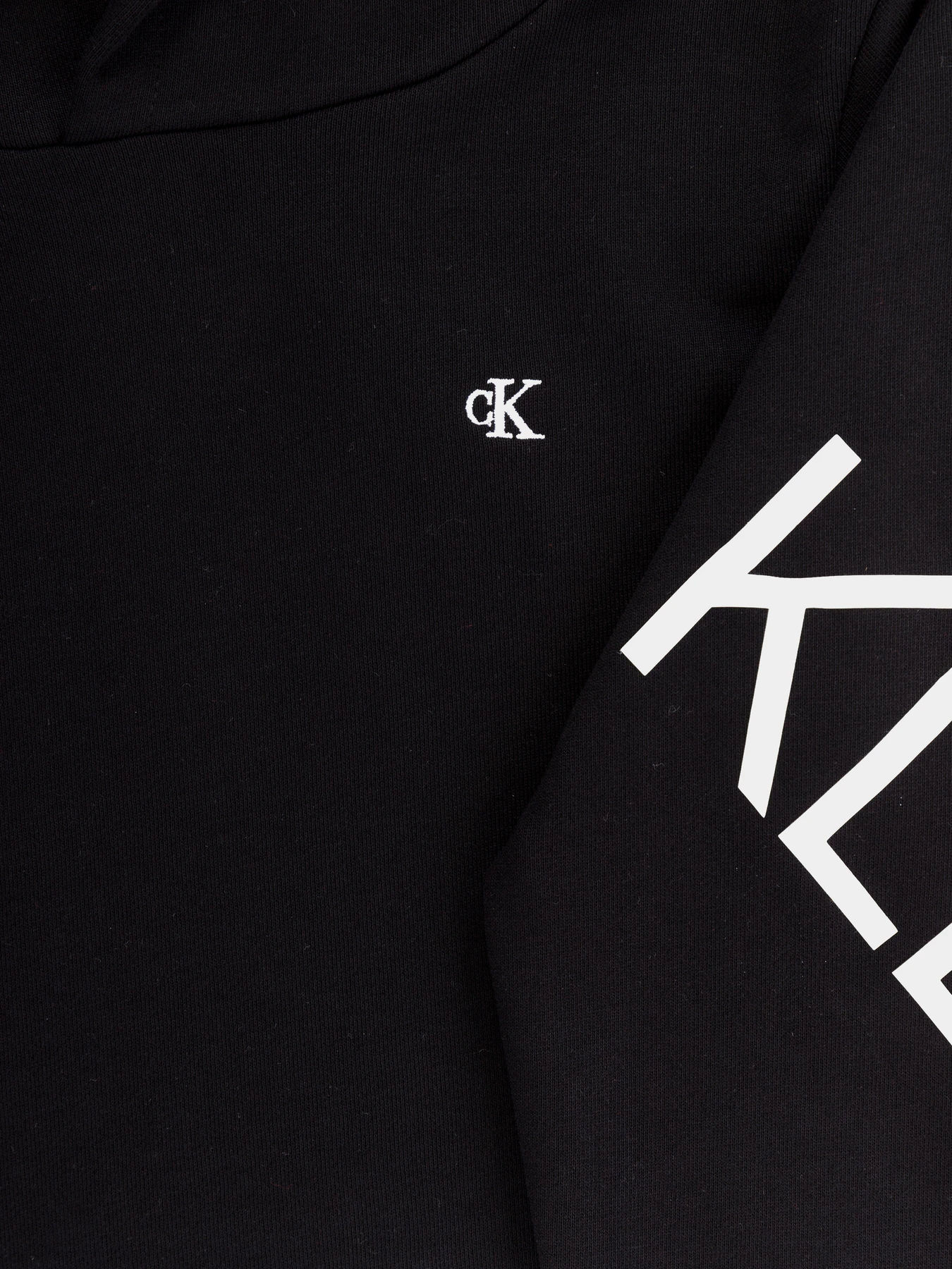 Худи и свитшоты Calvin Klein Hero Logo модель IG0IG00578-BEH Фото
