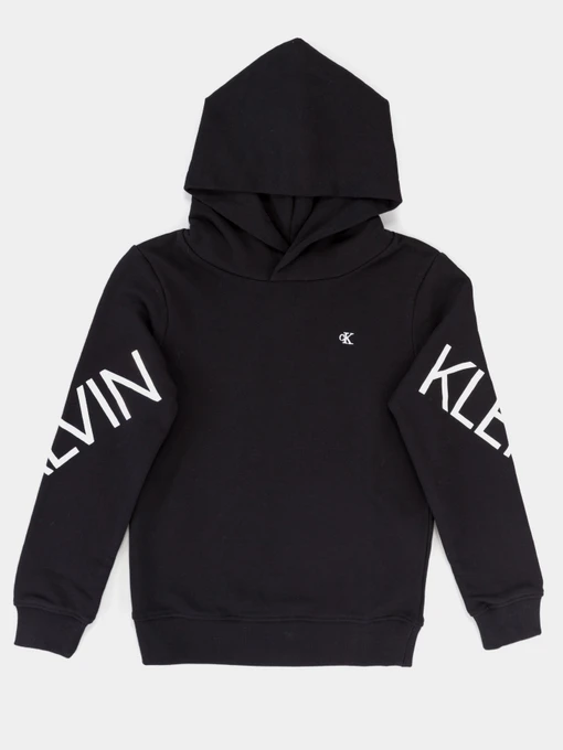 Худи и свитшоты Calvin Klein Hero Logo модель IG0IG00578-BEH Фото