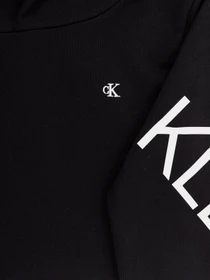 Худи и свитшоты Calvin Klein Hero Logo модель IG0IG00578-BEH Фото