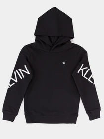 Худи и свитшоты Calvin Klein Hero Logo модель IG0IG00578-BEH Фото