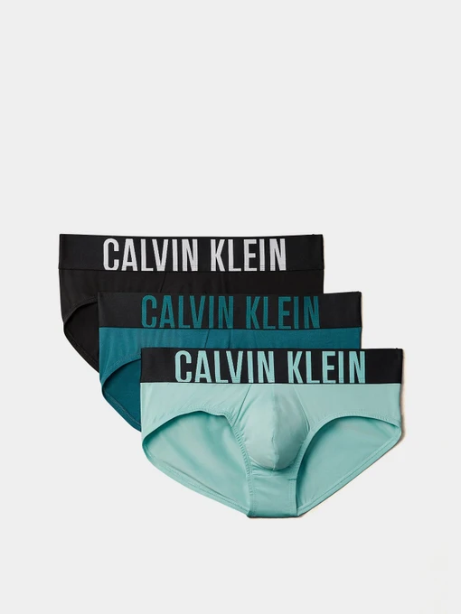 Нижня білизна Calvin Klein Underwear Intense Power Hip Brief модель 000NB3610A-Q1J Фото
