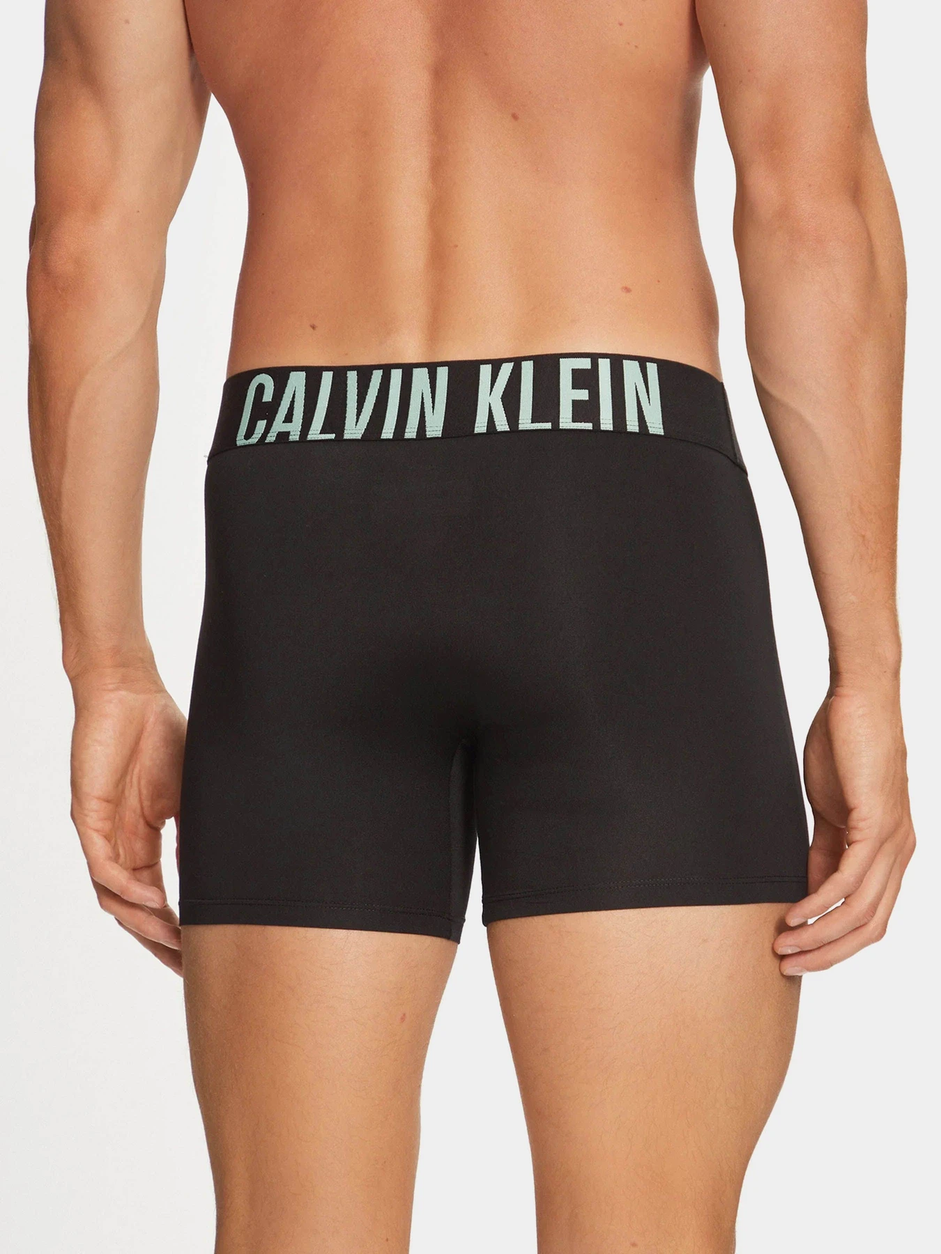 Нижнее белье Calvin Klein Underwear Intense Power модель 000NB3612A-Q1L Нижнее белье Calvin Klein Underwear Intense Power модель 000NB3612A-Q1L Фото