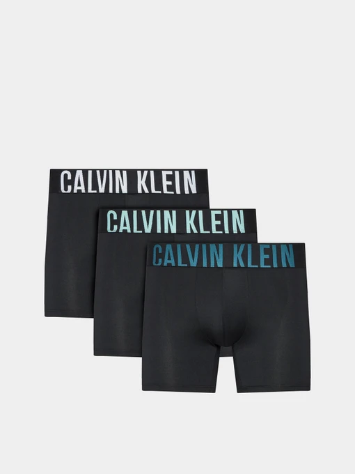 Нижня білизна Calvin Klein Underwear Intense Power модель 000NB3612A-Q1L Фото