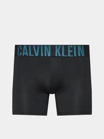 Нижнее белье Calvin Klein Underwear Intense Power модель 000NB3612A-Q1L Фото