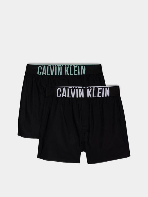 Нижнее белье Calvin Klein Underwear Intense Power модель 000NB3833A-QTL Фото