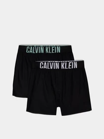 Нижнее белье Calvin Klein Underwear Intense Power модель 000NB3833A-QTL Фото