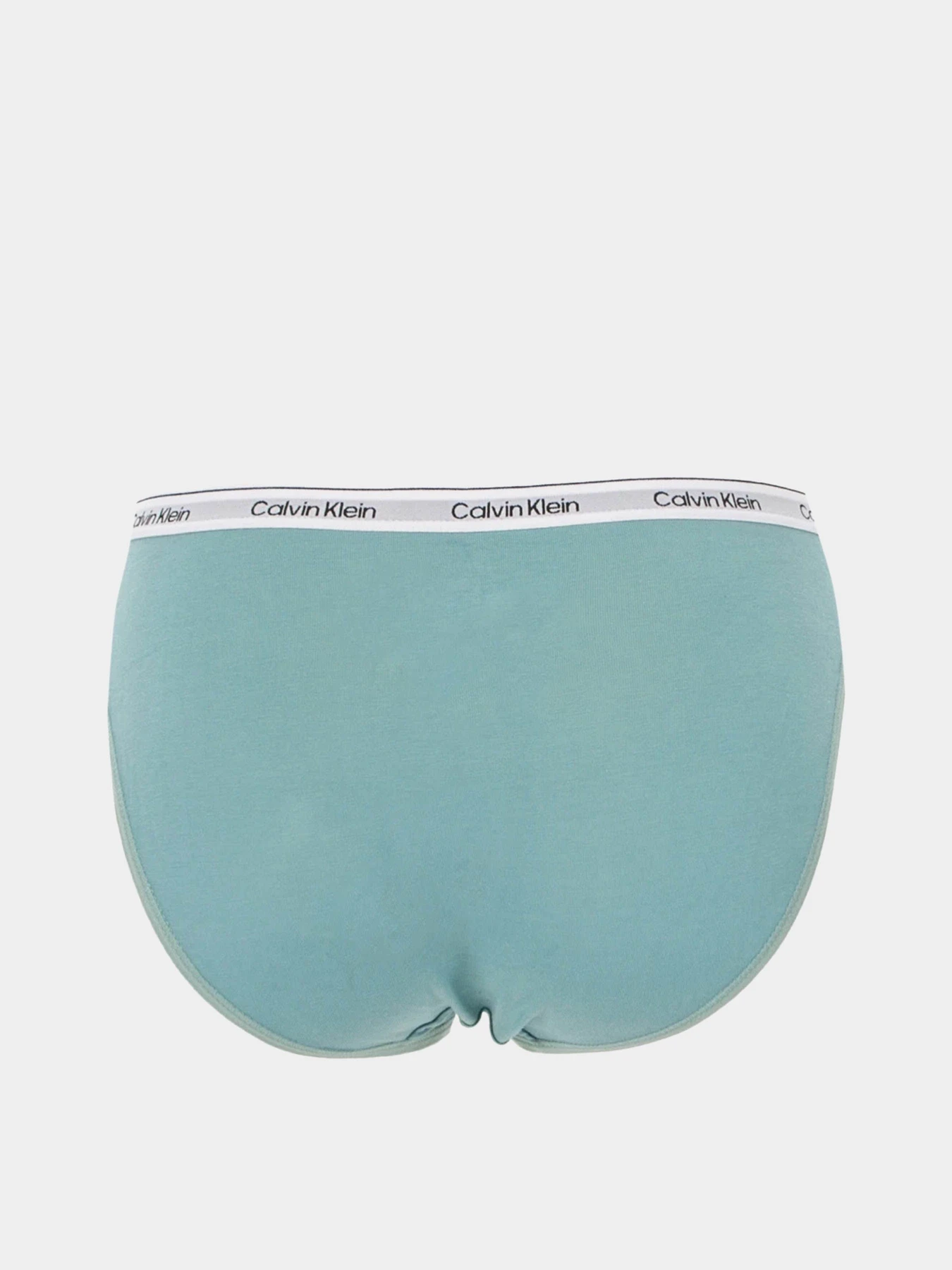 Нижнее белье Calvin Klein Underwear Bikini Bottom 3 модель 000QD5207E-PYM Фото