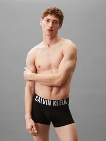 Нижнее белье Calvin Klein Underwear модель 000NB3608A-VVL Фото