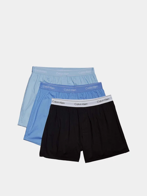 Нижня білизна Calvin Klein Underwear модель LV00NB4267-W8O Фото
