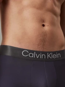 Нижнее белье Calvin Klein Underwear модель LV00NB4269-VSA Фото