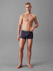 Нижнее белье Calvin Klein Underwear модель LV00NB4269-VSA Фото