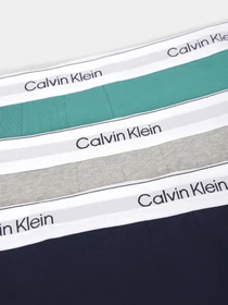 Нижнее белье Calvin Klein Underwear модель LV00NB4392-VR1 Фото