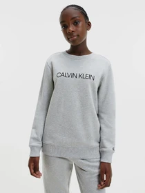 Худи и свитшоты Calvin Klein Unisex Institutional Logo модель IU0IU00162-PZ2 Фото