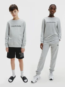Худи и свитшоты Calvin Klein Unisex Institutional Logo модель IU0IU00162-PZ2 Фото