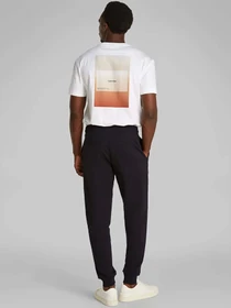 Брюки Calvin Klein модель K10K114254-BEH Фото