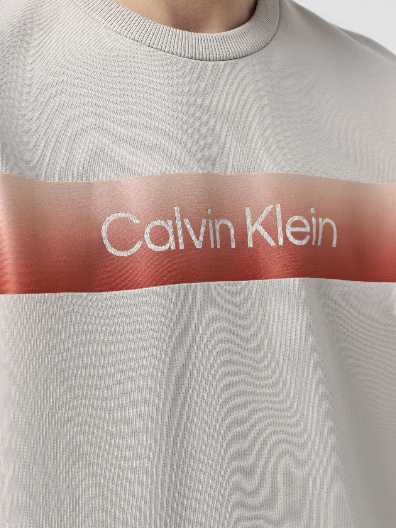 Худі та світшоти Calvin Klein модель K10K114263-PBQ Фото
